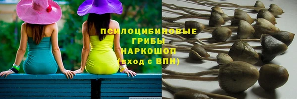 эйфоретик Алзамай